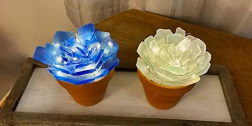 Seaglass Succulents