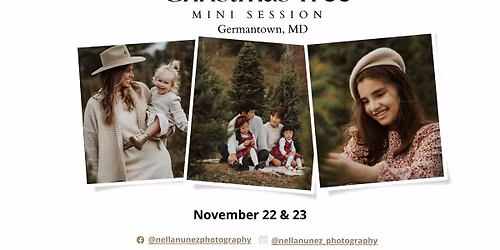 Christmas Tree Farm Photo Mini Sessions