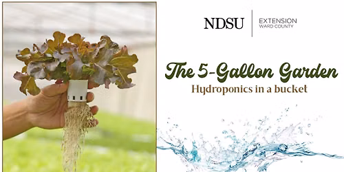 The 5-Gallon Garden: Hydroponics in a bucket