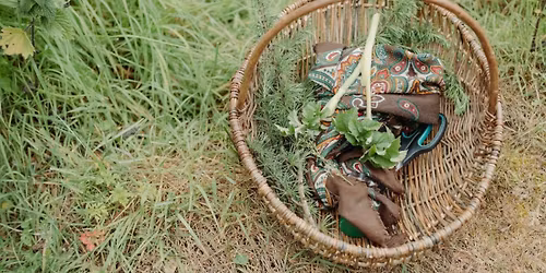 *FULLY BOOKED* Spring Foraging Workshop