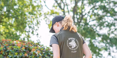 Rallylydnadst\u00e4vling 16\/5-2026