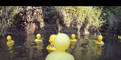 Little Eaton Carnival - Duck Race 2026