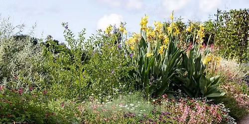  Seasonal Summer Gardening Tasks - Walk and Talk