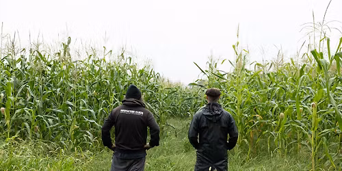 The Inspector Cluzo + The Messenger Birds \u00b7 La Cartonnerie