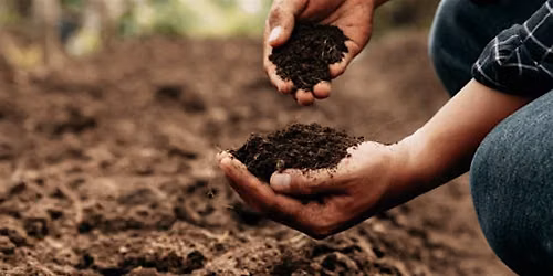 Soil Stewardship