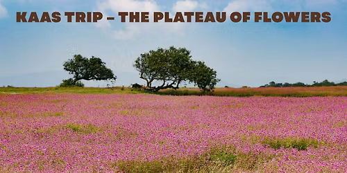 Kaas Trip - The Plateau of Flowers 