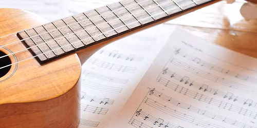 You Can Play Ukulele! Workshop at the Brookfield Library