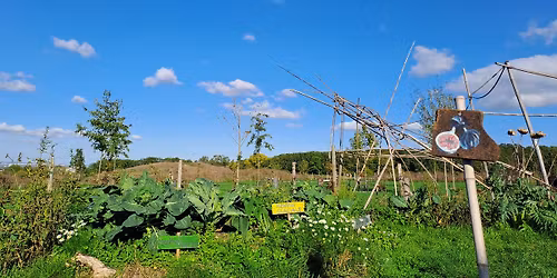 Fête de la soupe 🥣