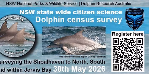 NSW Dolphin Census Jervis Bay area