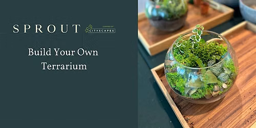 Terrarium Workshop at Sprout!