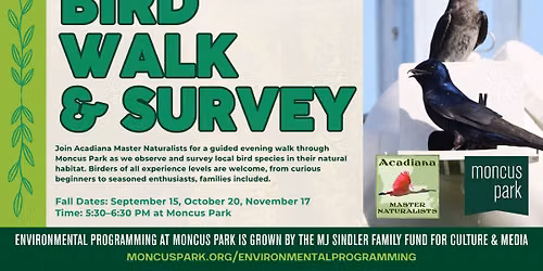 Bird Walk & Survey