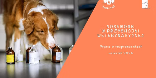 Nosework w przychodni weterynaryjnej 