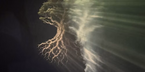 WHEN FORESTS DREAM & ASSEMBLY - Sara Gebran