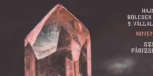 Hajsza a b\u00f6lcsek k\u00f6v\u00e9\u00e9rt - 9. V\u00e1llalkoz\u00f3i Nap