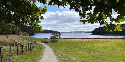 Walk Talk Kernow - Woodland Stroll at Trelissick