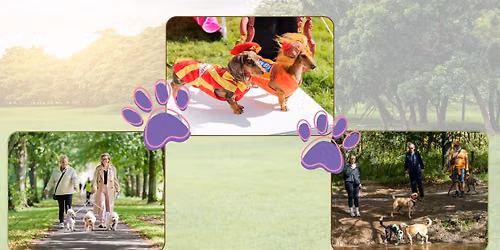 Waggy Tail Walk and Dog Show