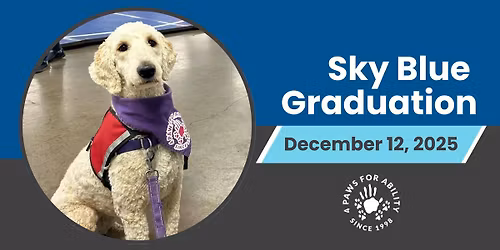 Sky Blue Graduation