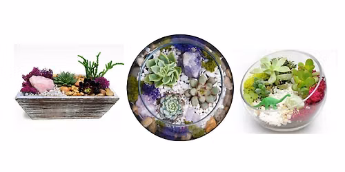 Succulent Terrarium Planting Event at Columbus Brewing Company