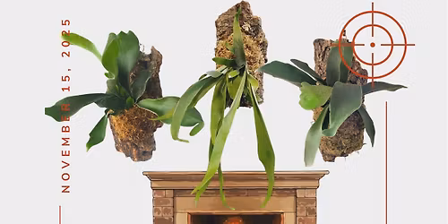 Staghorn Fern Mounting Workshop 