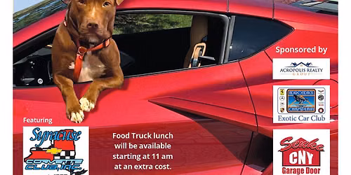 Vettes for Pets