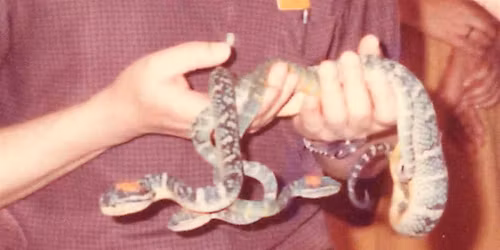 Video Art, Photography and Performance by Artists from Hong Kong