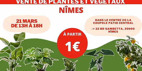 N\u00ceMES - V\u00e9g\u00e9taux et Plantes \u00e0 partir de 1\u20ac by Plantes Addict