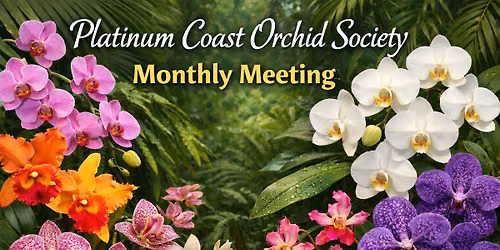 PCOS Monthly Member Meeting
