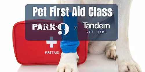 Pet First Aid Class
