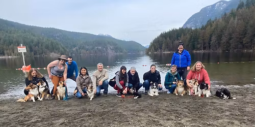 SECOND MAY 2026 SHELTIE\/COLLIE MEET: Barnston Island Regional Park, Surrey BC