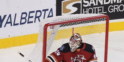 Tucson Roadrunners vs. Abbotsford Canucks