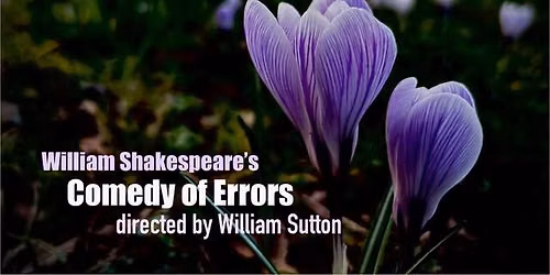 A Comedy of Errors \u2013 We Love Shakespeare Ensemble