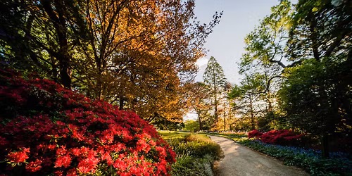 Evenings at Everglades