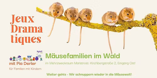 M\u00e4usefamilien im Mini-room