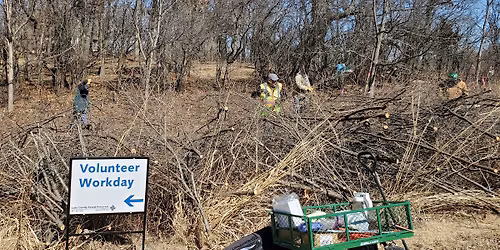 LCFP Restoration Workday at Millennium Trail\/Kestrel Ridge