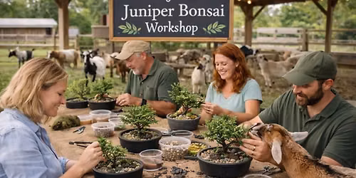 Create Your Own Juniper Bonsai Workshop