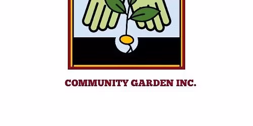 Bullet Proof Your Immune System