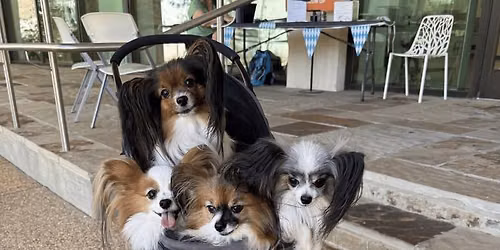 Barktoberfest