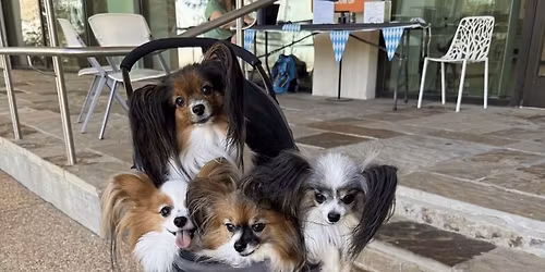Barktoberfest