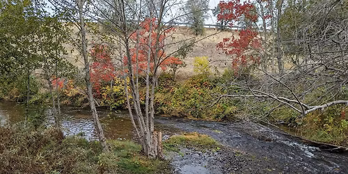 Olympus Pointe Park Adopt-a-Creek Clean Up Event -- May 2, 2026