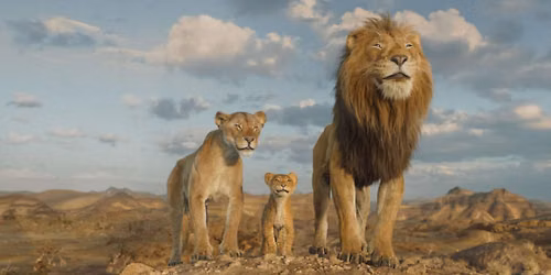 Family Movie Night