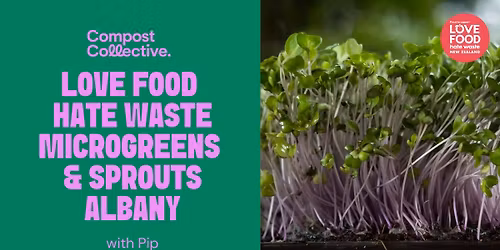 Free Love Food Hate Waste Workshop: Microgreens & Sprouts workshop \u2013 Albany