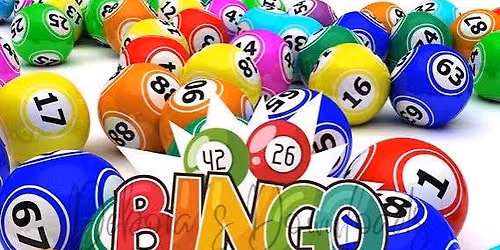 Bingo Tuesdays! 