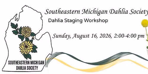 Dahlia Staging Workshop
