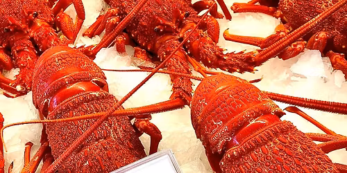 Christmas seafood truck to Hamilton