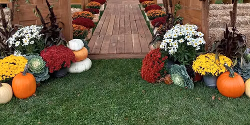 Christmas in the Barn