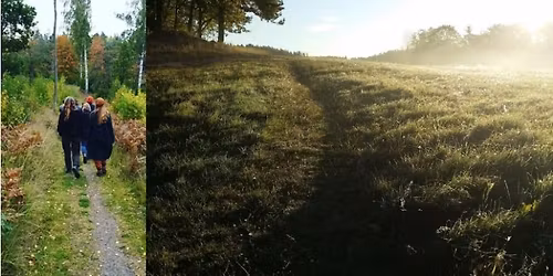 Deep Time walk - en vandring genom djuptiden