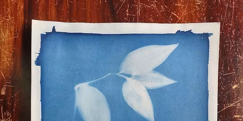 Cyanotypes Printmaking Workshop | Ages 12-Adult