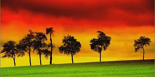 Father\u2019s Day Reggae Buffet!!!