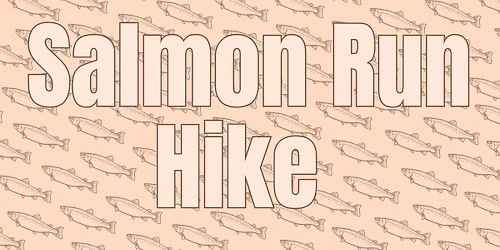 Salmon Run Hike