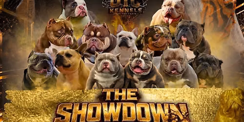 The Showdown